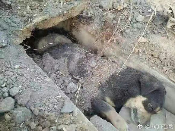 点击查看原图
