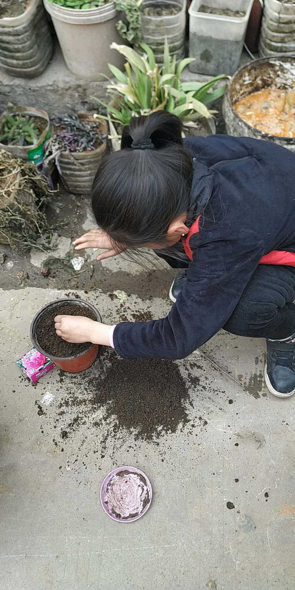点击查看原图