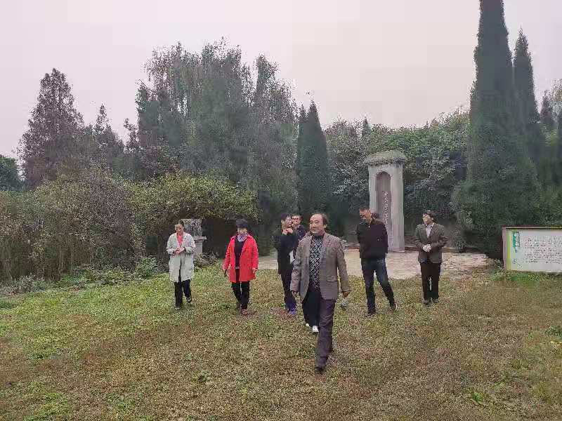 点击查看原图