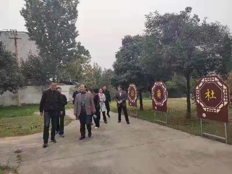 点击查看原图