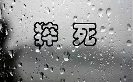 点击查看原图