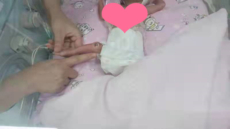 点击查看原图