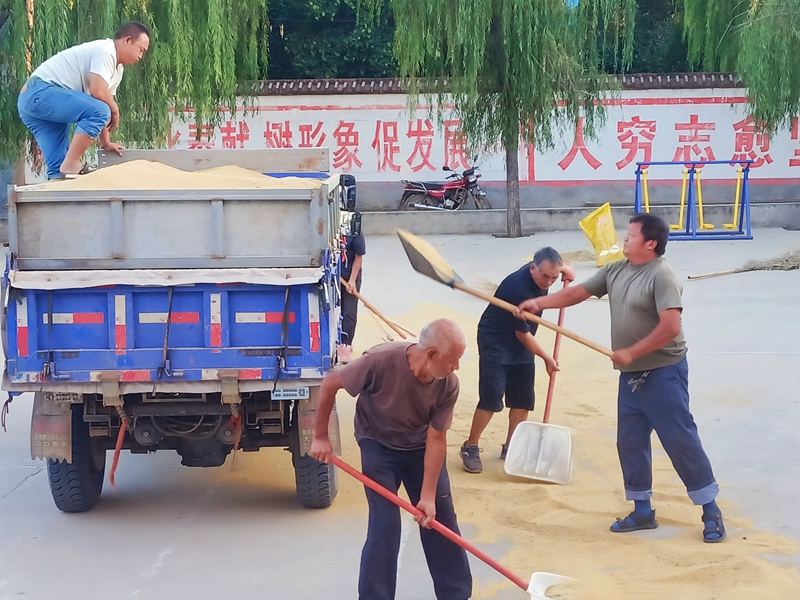 点击查看原图