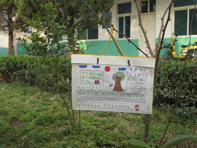 城关镇北窑小学植树节开展护绿活动