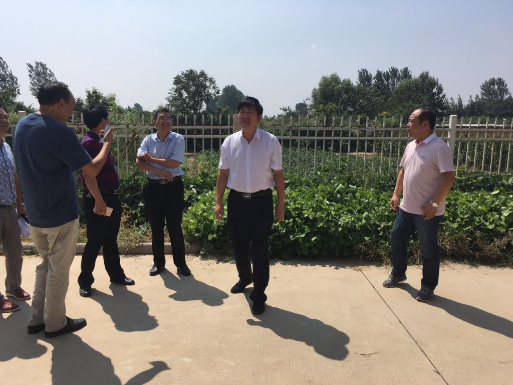 【智慧伊洛】偃师市人民政府市长李灵敏到我校检查指导工作