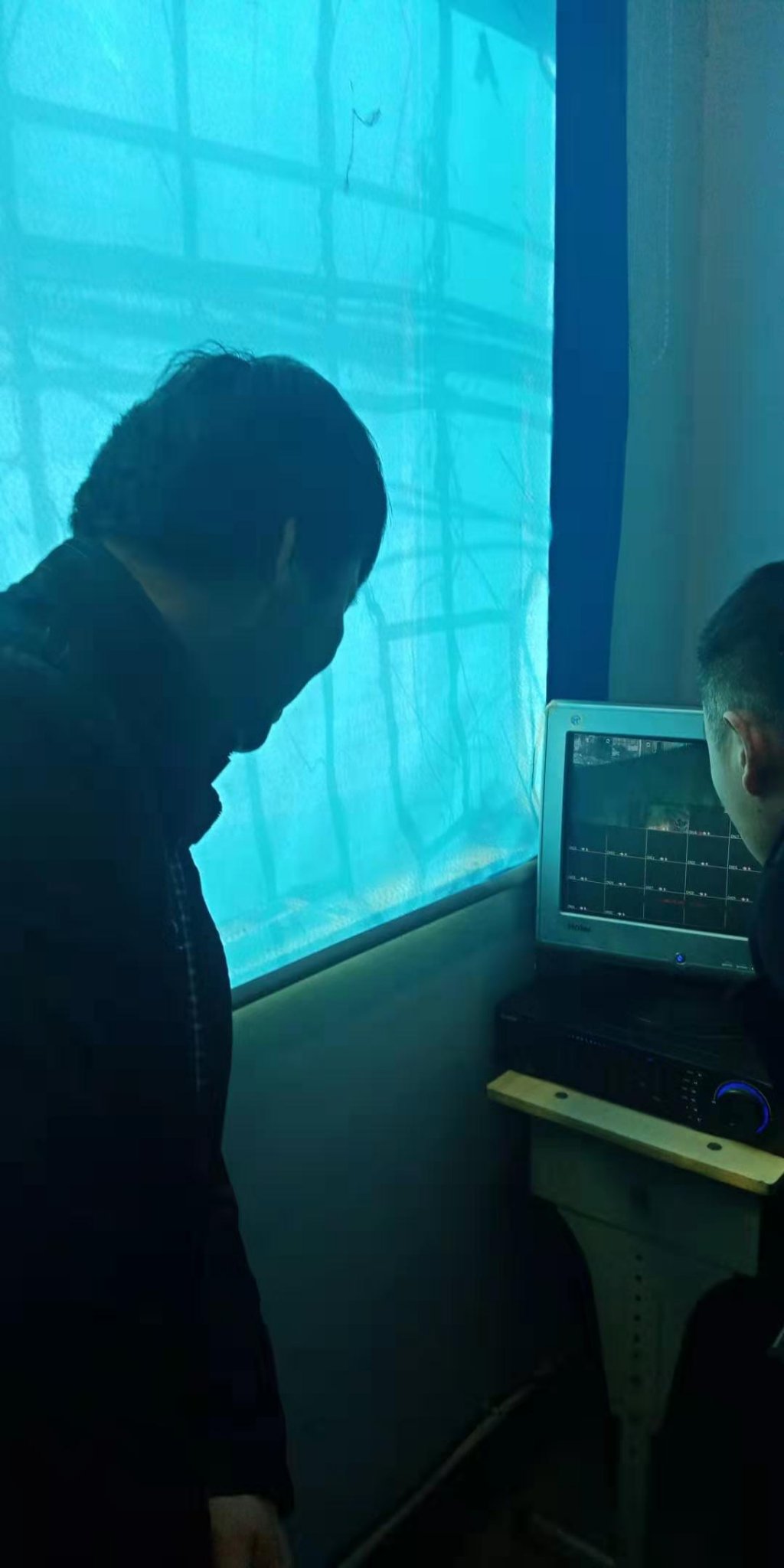 点击查看原图