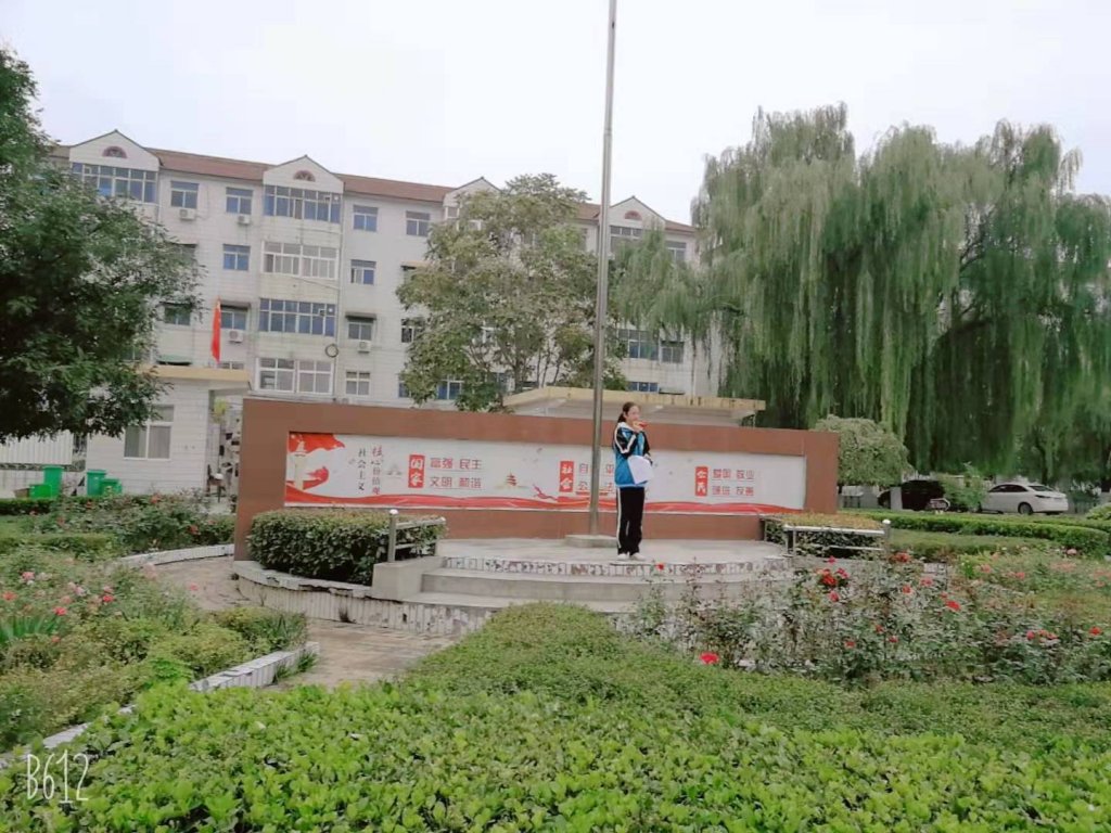 点击查看原图