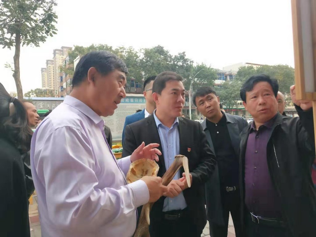 点击查看原图