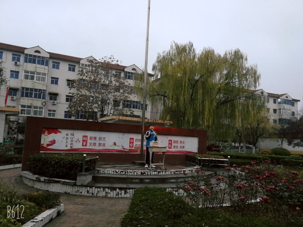 点击查看原图