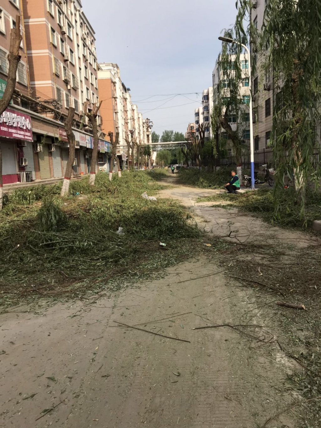 点击查看原图