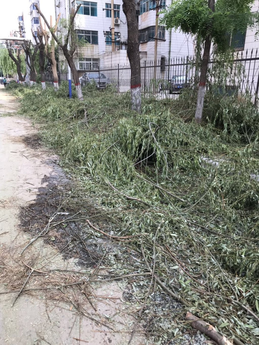 点击查看原图