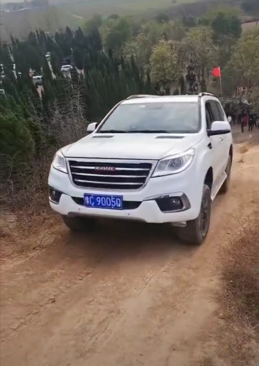 点击查看原图