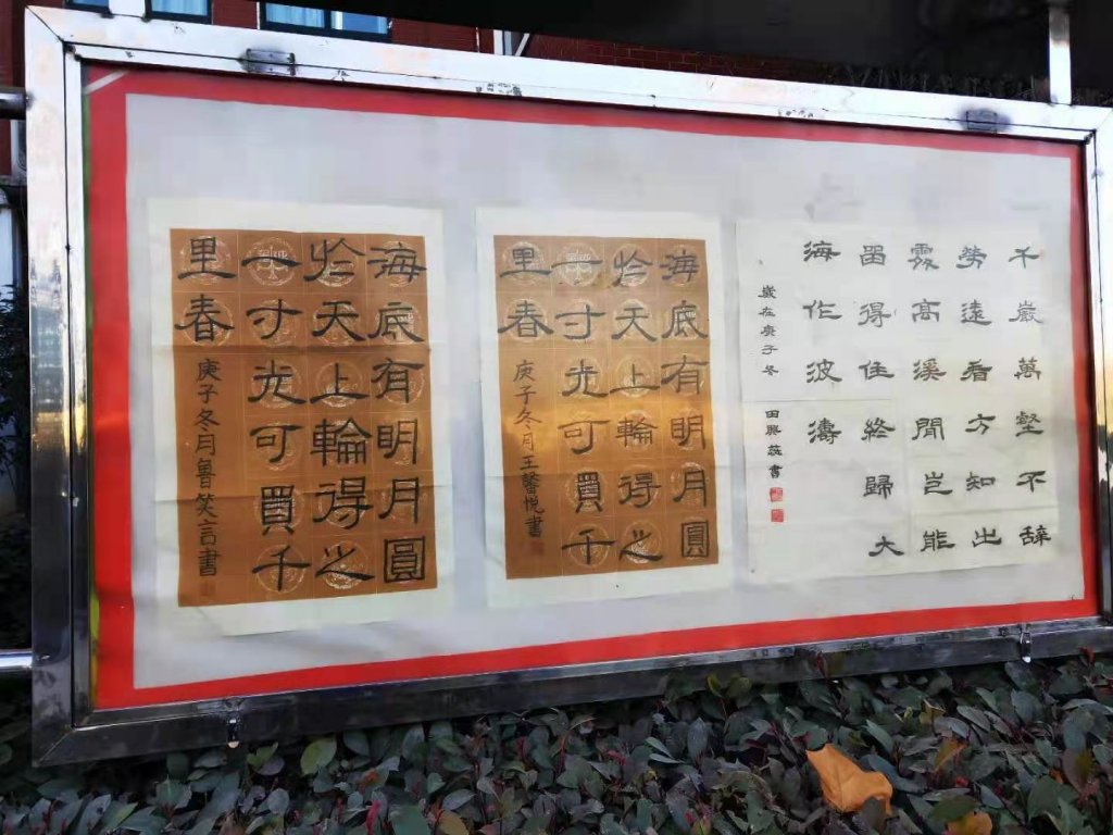 点击查看原图