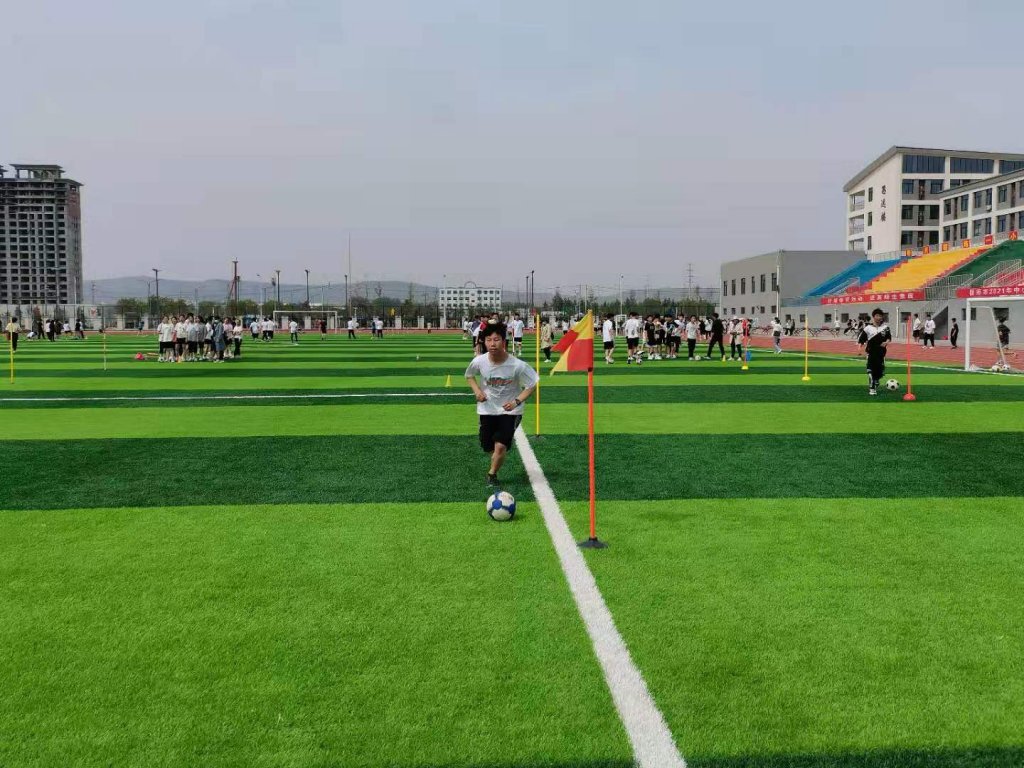 点击查看原图