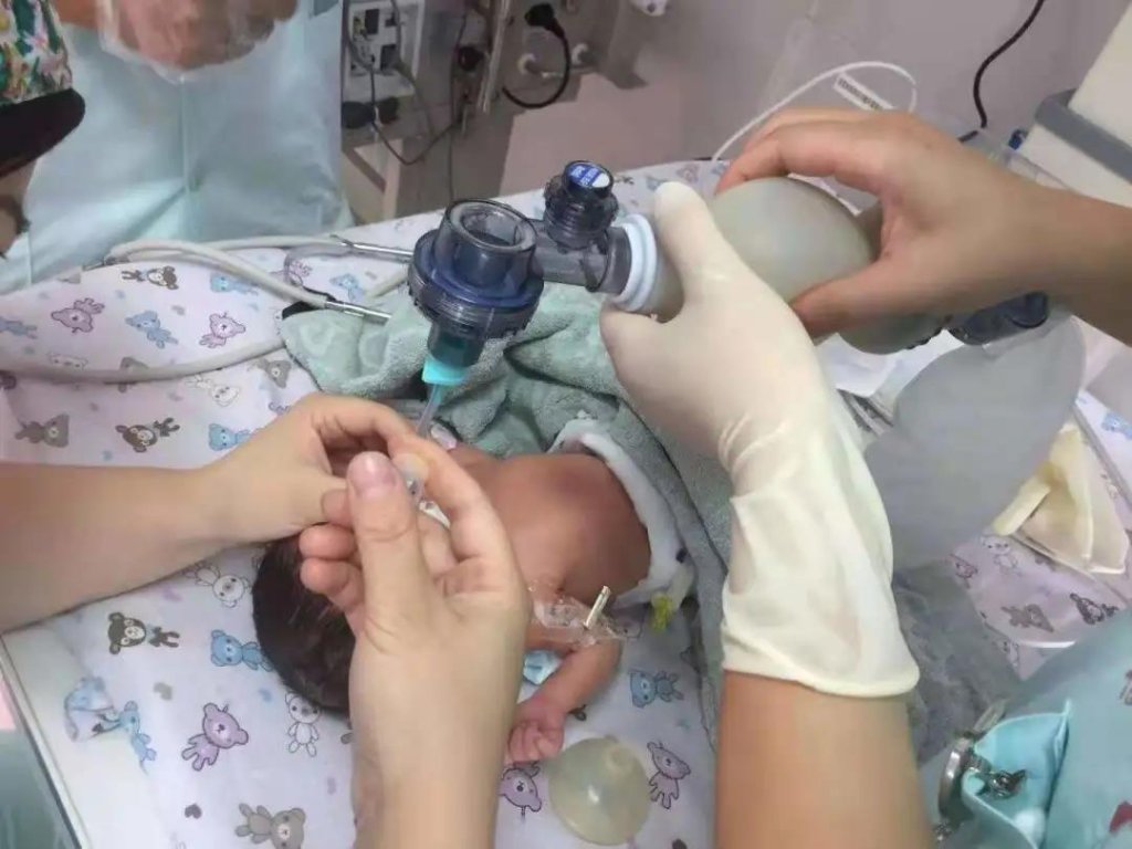 点击查看原图